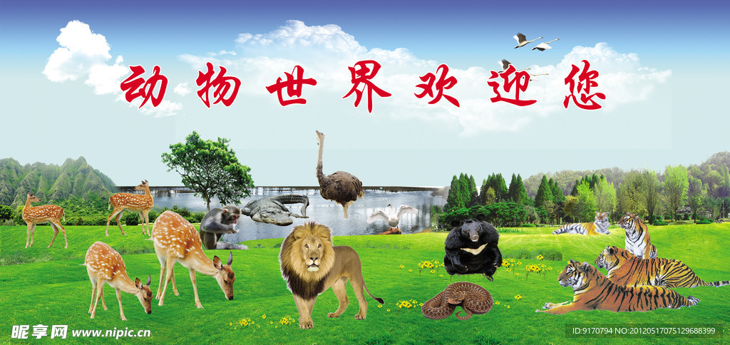动物世界欢迎您