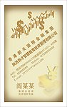 金融公司PVC名片