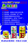 黄金E王