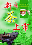 新茶上市