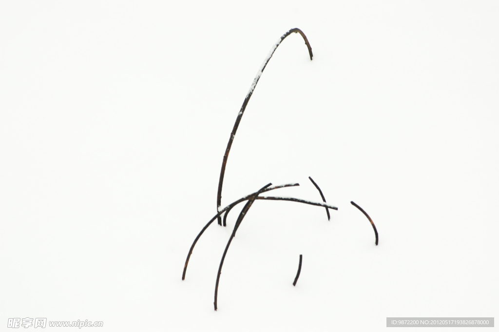 简笔画