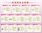 炫彩斑位分析图