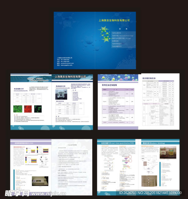 生物科技画册版式设计图片