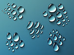 水珠 露珠