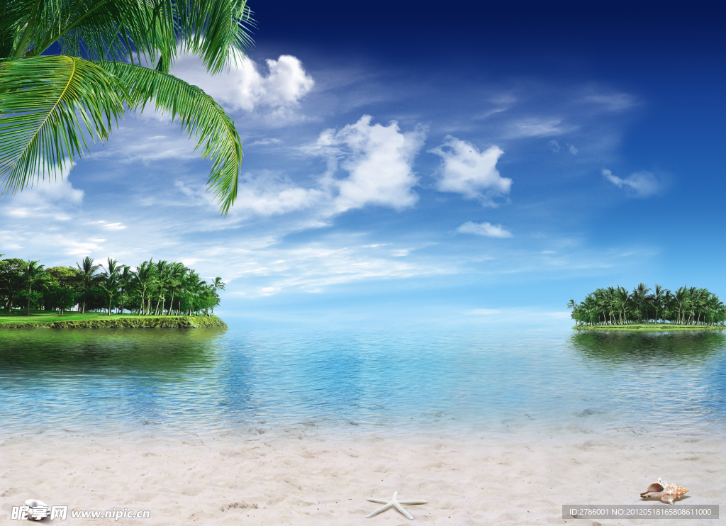 海边美景设计 椰岛