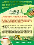 牛蒡茶海报