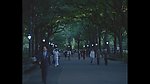 街道马路唐人街
