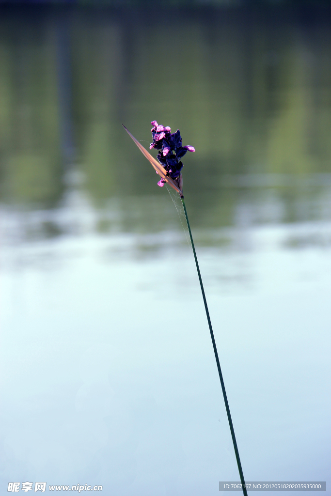湖畔