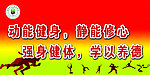 体育运动展板