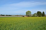 田园风景