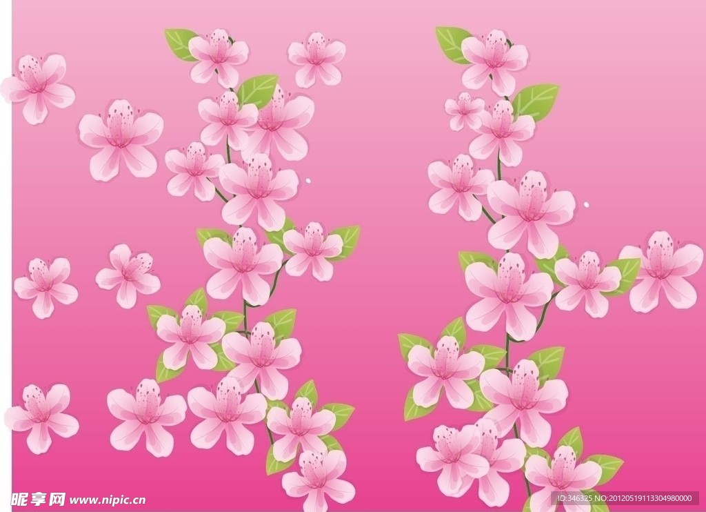 花儿 桃花 花朵 桃红 粉红
