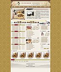 中医养生减肥网站首页模版
