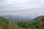 青山