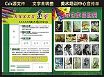 美术培训中心宣传单