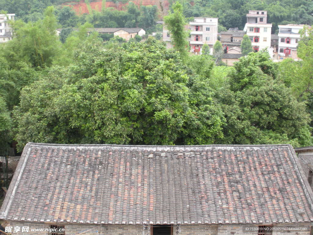 房子与树