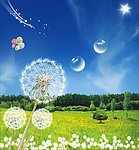 蓝天