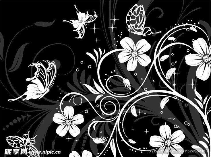 蝴蝶 花纹