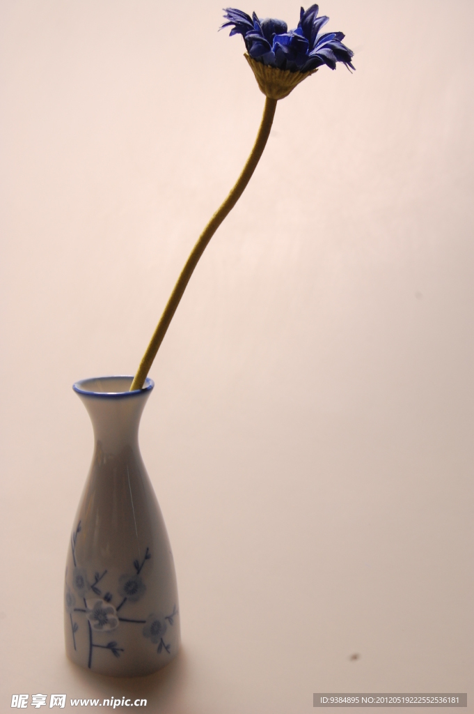 高清花朵图案