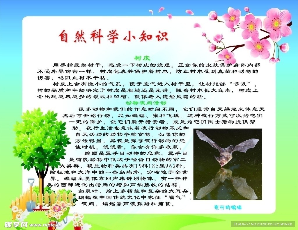 自然科学