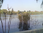 大明湖
