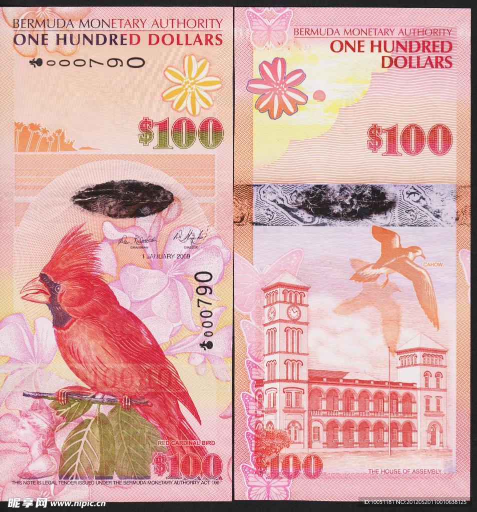 百慕大100元