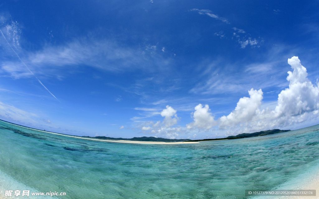 奇特海洋