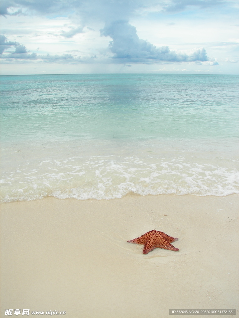 大海
