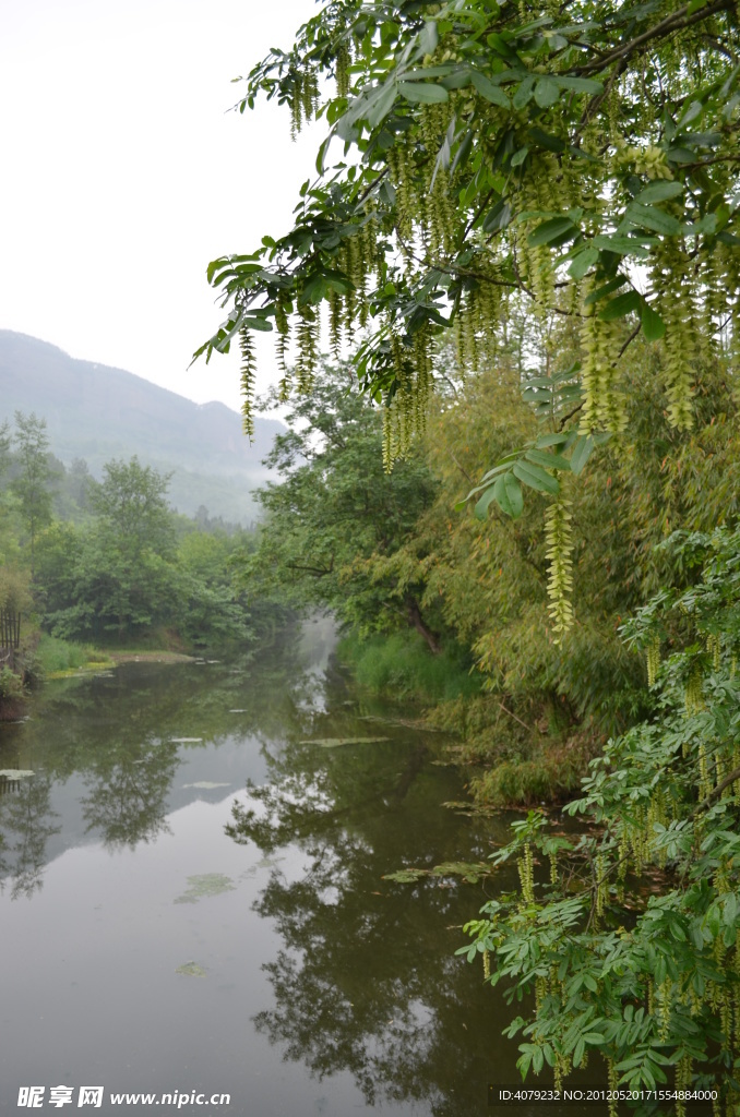 剑阁风景区一角