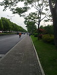 马路景观