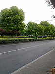 道路风景