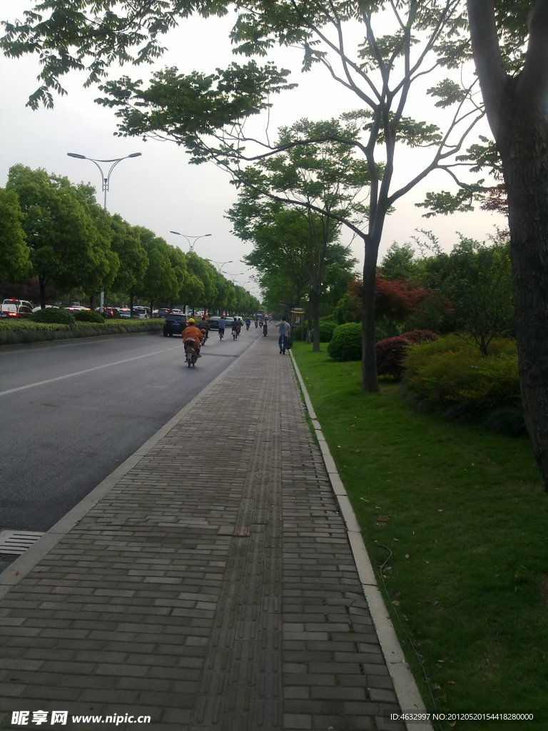 林间小道