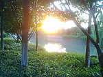 花园景观