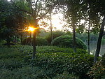 花园景观