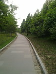 林间小道
