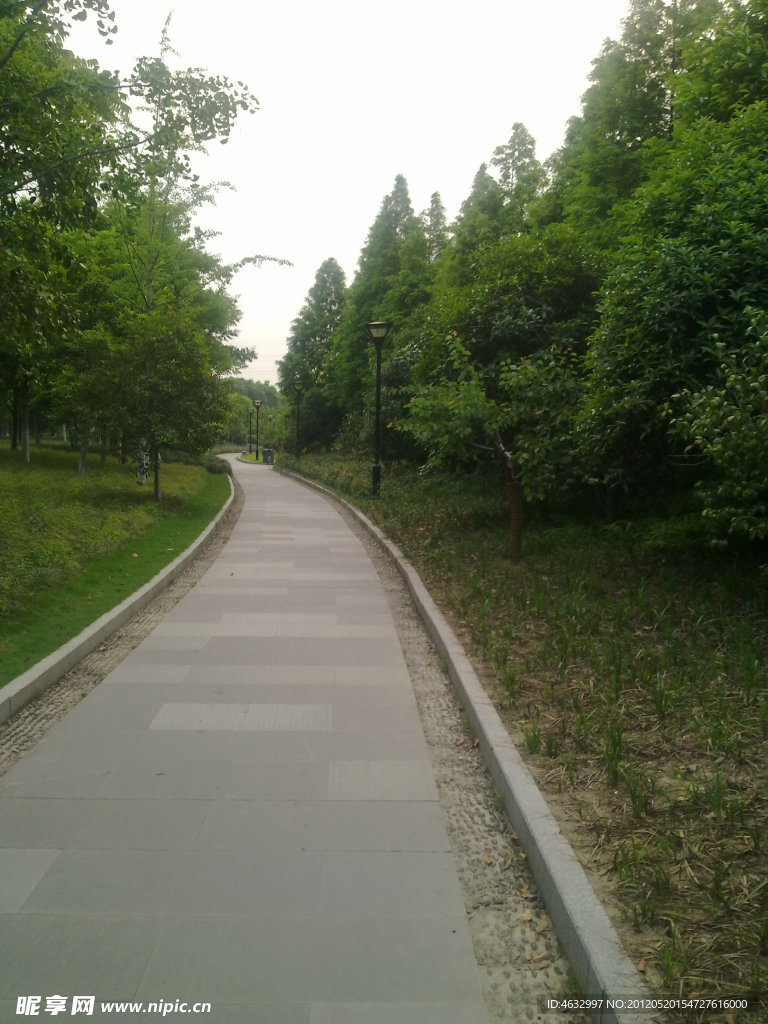林间小道
