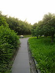 林间小道