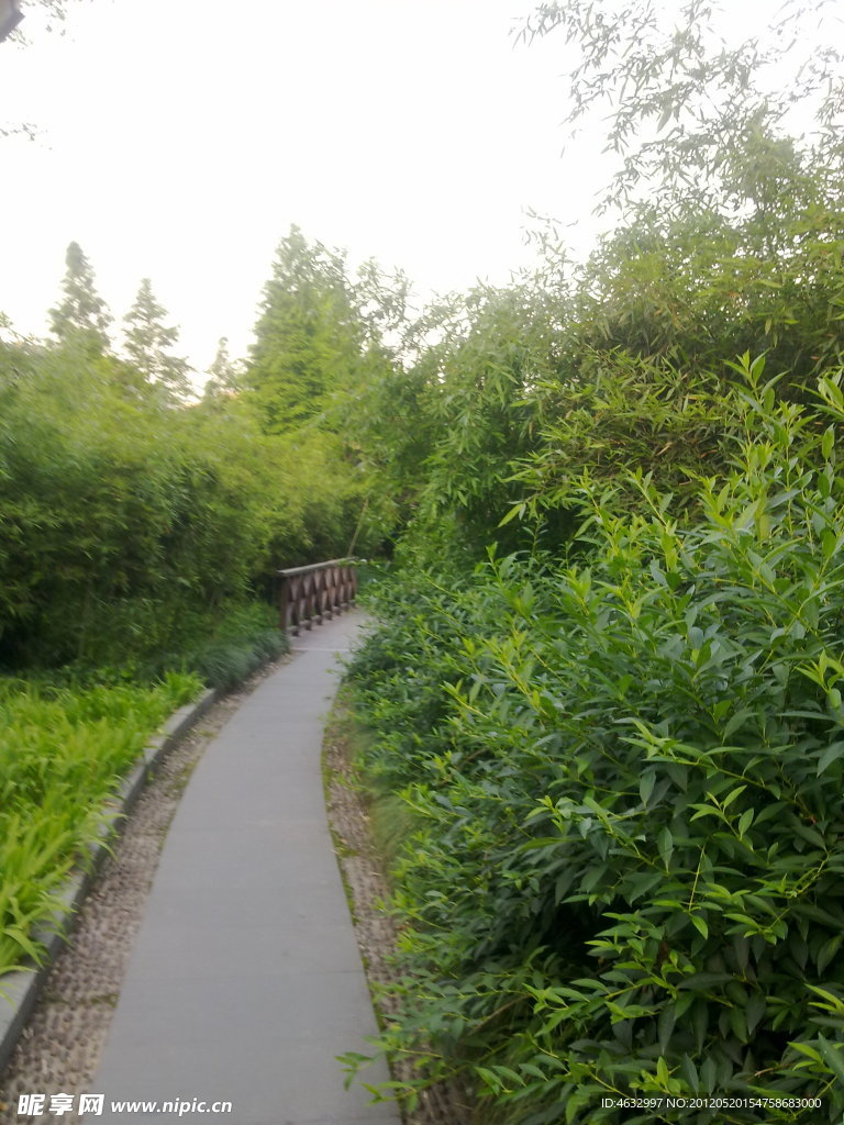 林间小道