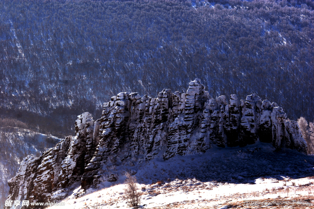 冬雪山林海