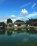 夏天的午后