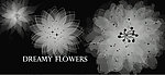 梦幻花朵笔刷