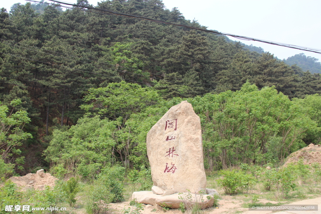 闾山林海