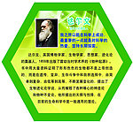 达尔文