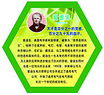 爱迪生