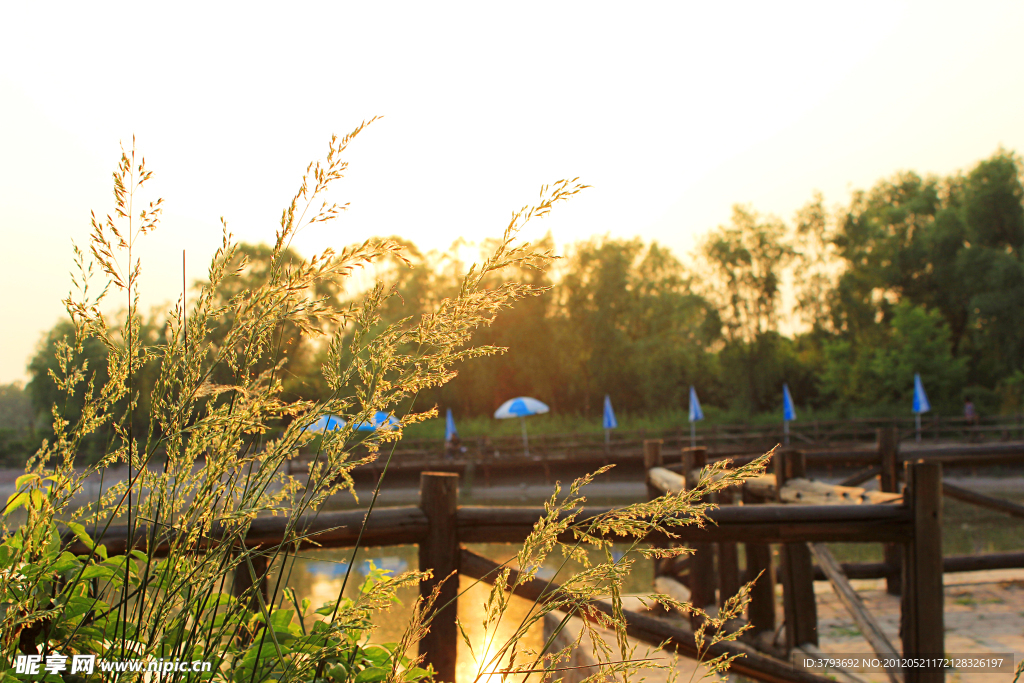 夕阳美景