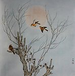 冬之晨