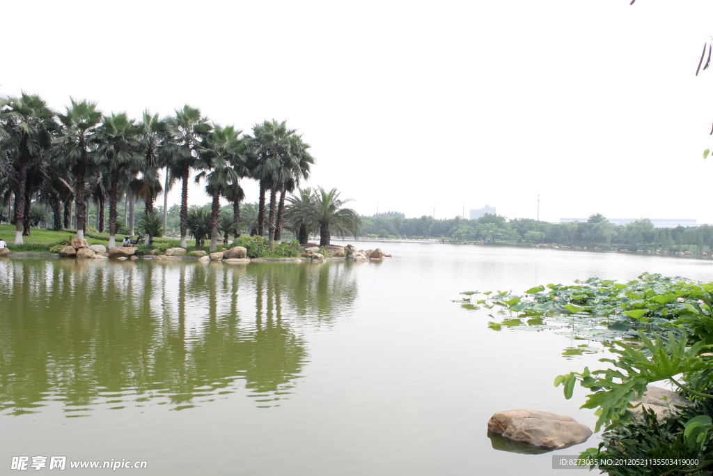 湖中美景