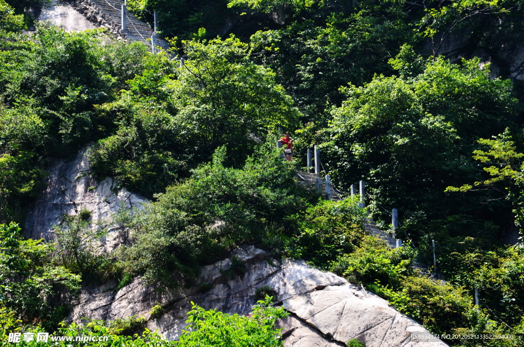 山梯