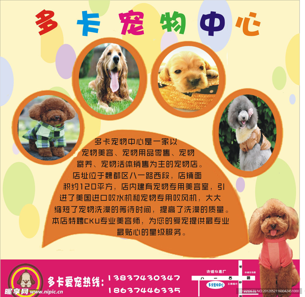 宠物店小宣传页