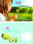 蒲公英 女孩