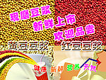 现磨豆浆